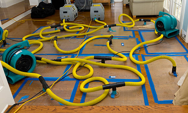 Professional Storm Water Damage Restoration technician working in Waynesfield, OH